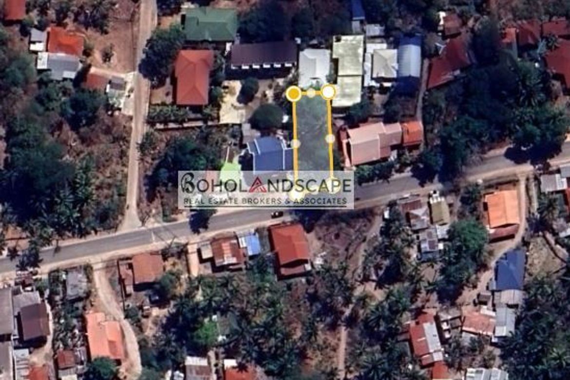 Land for Sale in Poblacion, Panglao, Bohol – photo 5