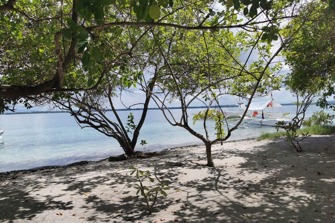 Land for Sale in Poblacion, Panglao, Bohol – photo 5