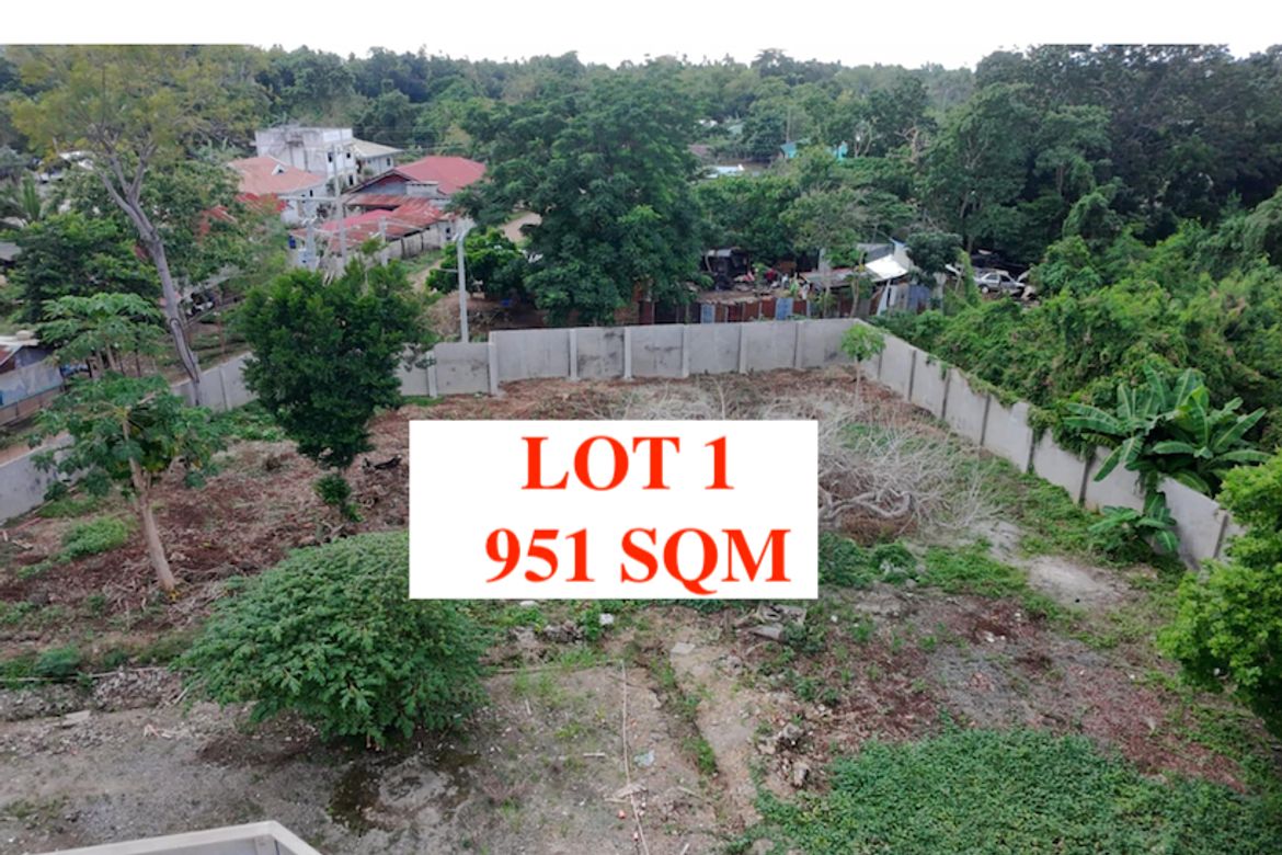 Land for Sale in Poblacion, Panglao, Bohol – photo 3