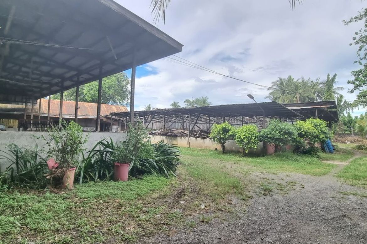 Land for Sale in Poblacion, Pulilan, Bulacan – photo 2