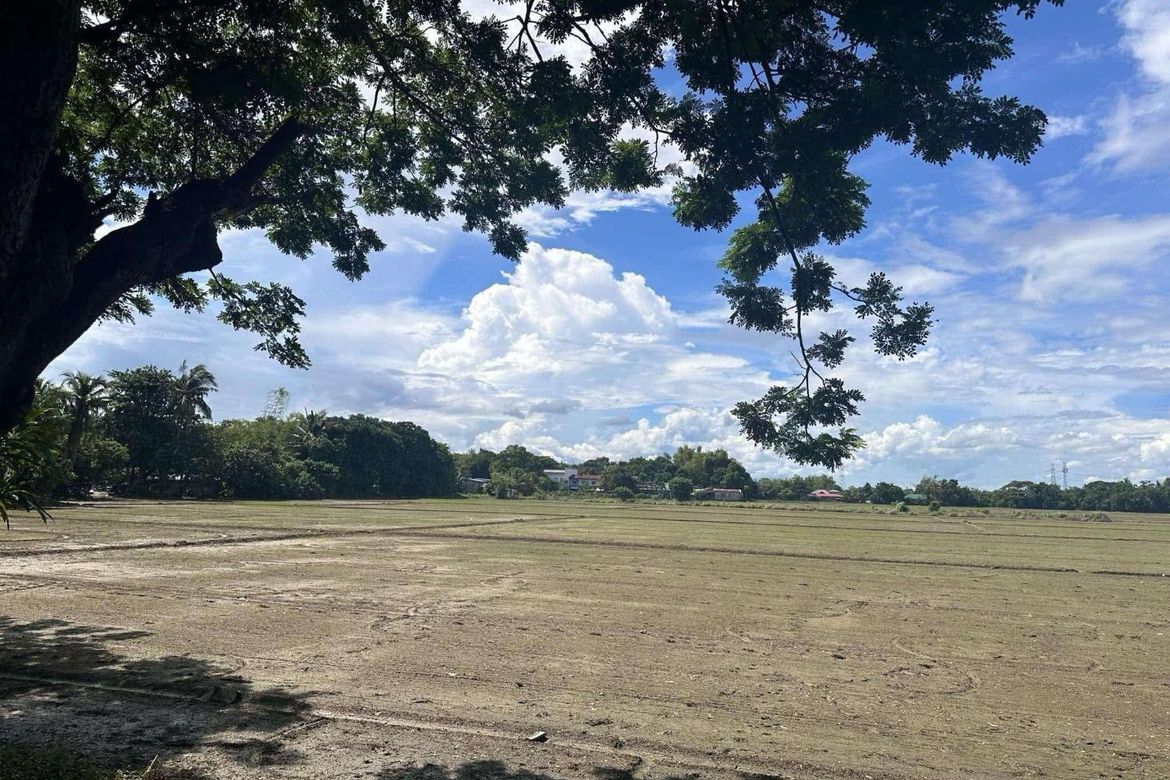 Land for Sale in Poblacion, Pulilan, Bulacan