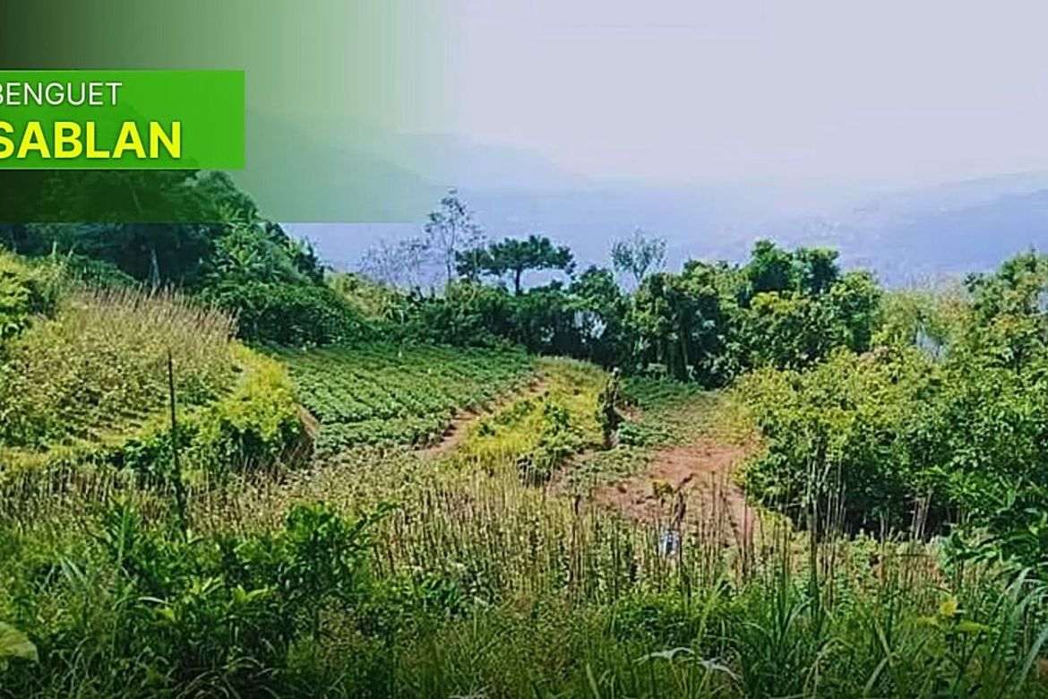 Land for Sale in Poblacion, Sablan, Benguet – photo 2