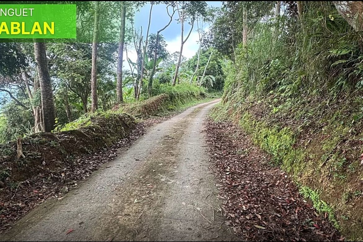 Land for Sale in Poblacion, Sablan, Benguet – photo 3