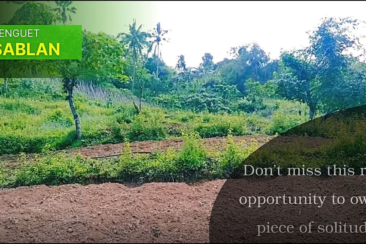 Land for Sale in Poblacion, Sablan, Benguet – photo 5
