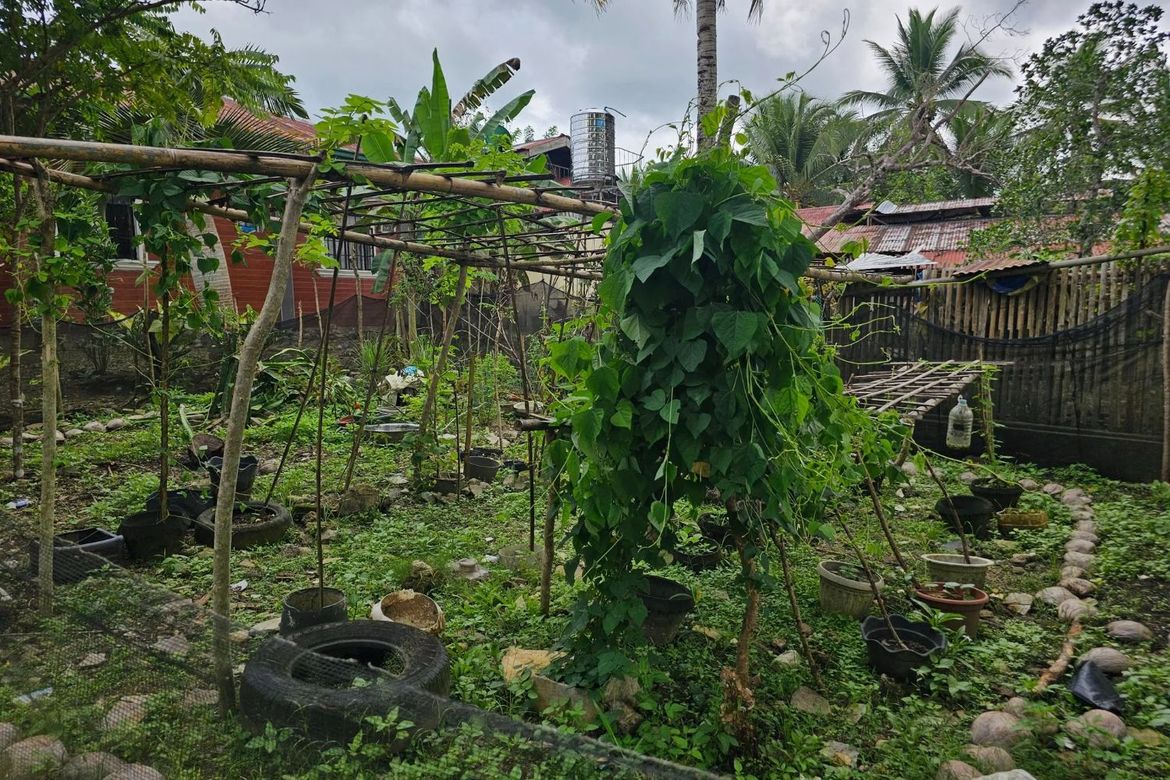 Land for Sale in Poblacion, Sagbayan, Bohol – photo 2