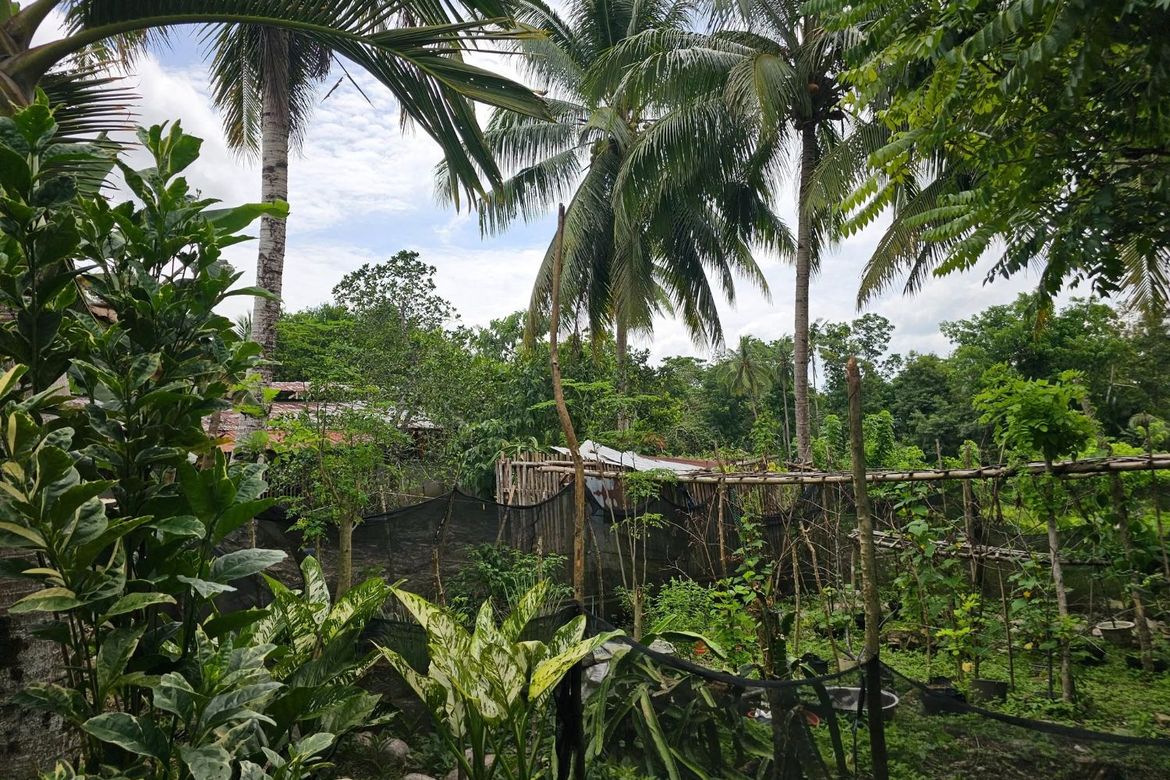 Land for Sale in Poblacion, Sagbayan, Bohol – photo 5