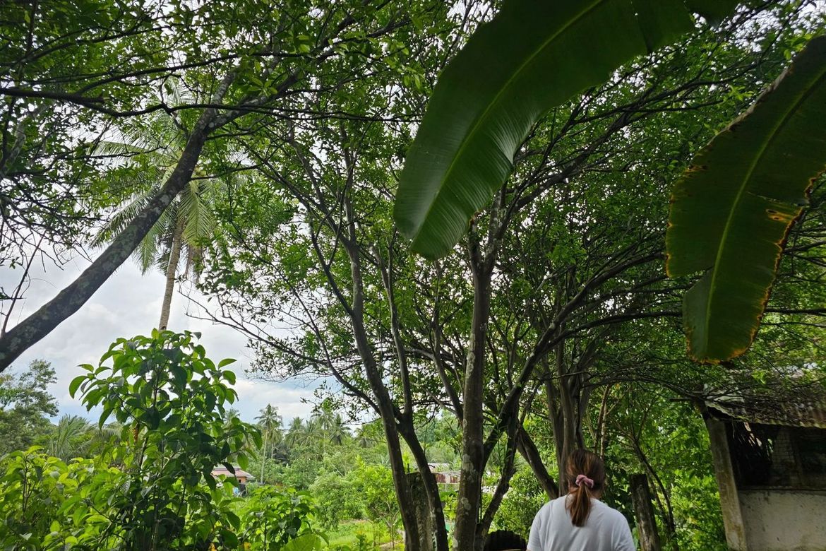 Land for Sale in Poblacion, Sagbayan, Bohol – photo 6
