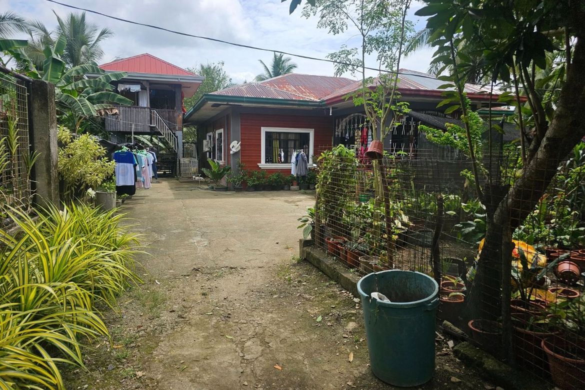 Land for Sale in Poblacion, Sagbayan, Bohol – photo 7