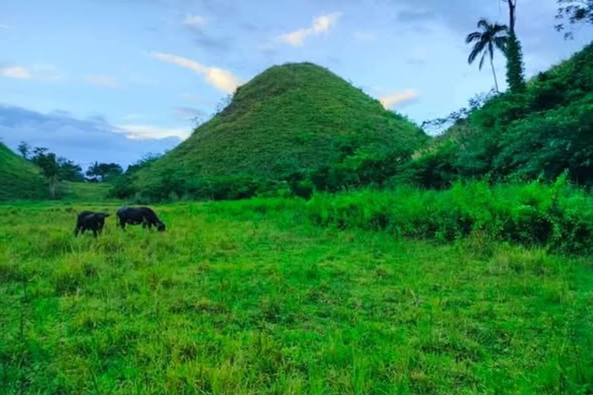 Land for Sale in Poblacion, Sagbayan, Bohol