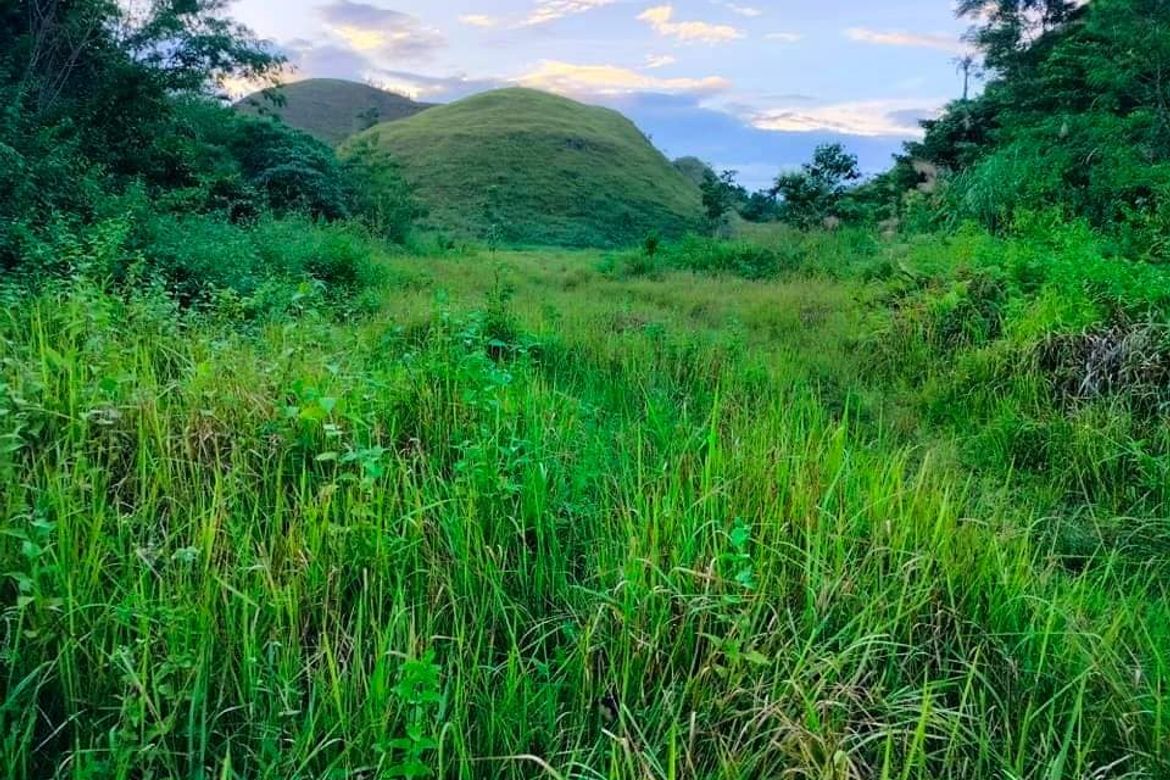 Land for Sale in Poblacion, Sagbayan, Bohol – photo 2