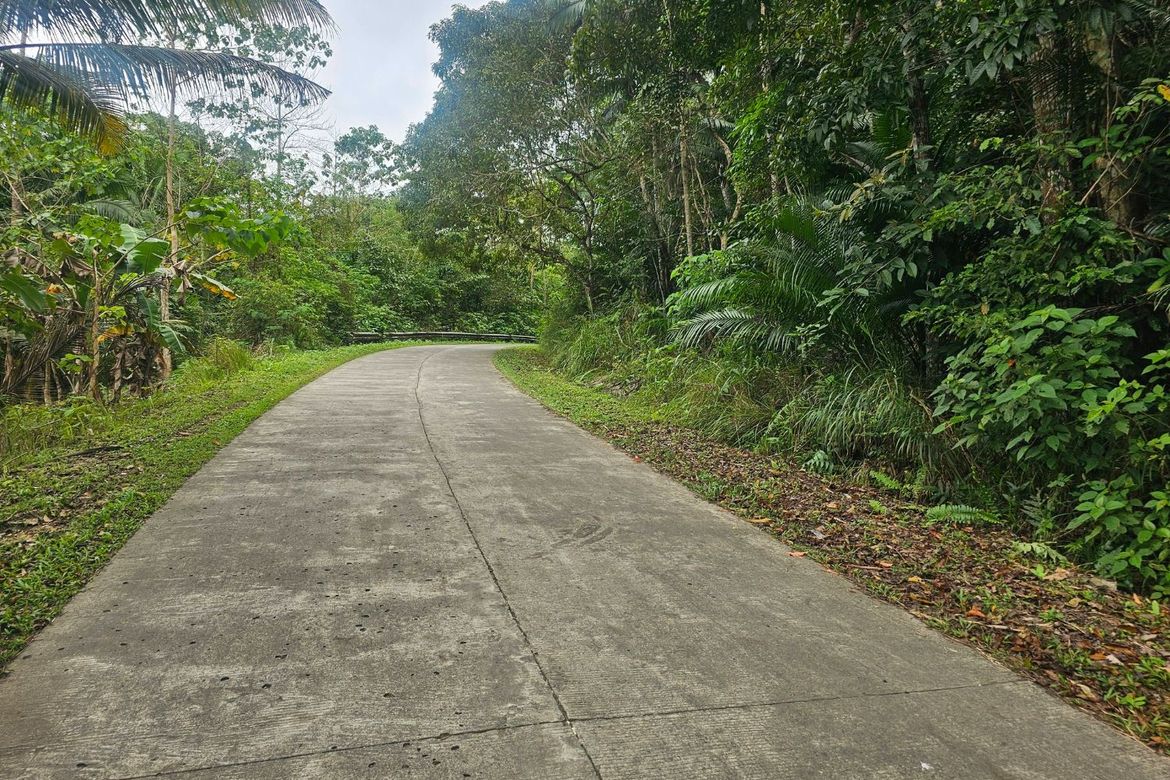Land for Sale in Poblacion, Sagbayan, Bohol