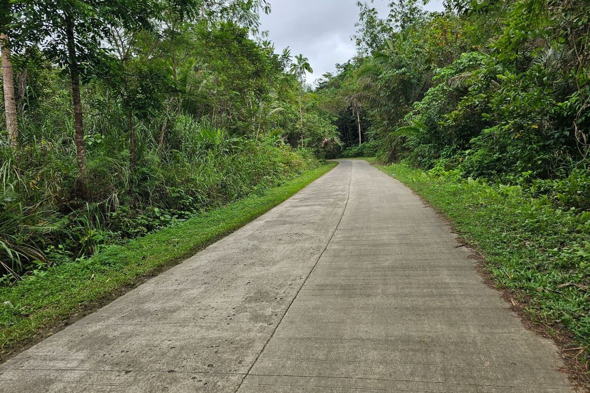 Land for Sale in Poblacion, Sagbayan, Bohol – photo 3