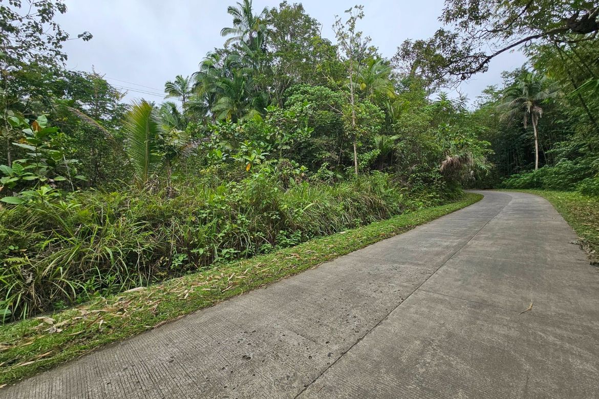 Land for Sale in Poblacion, Sagbayan, Bohol – photo 4