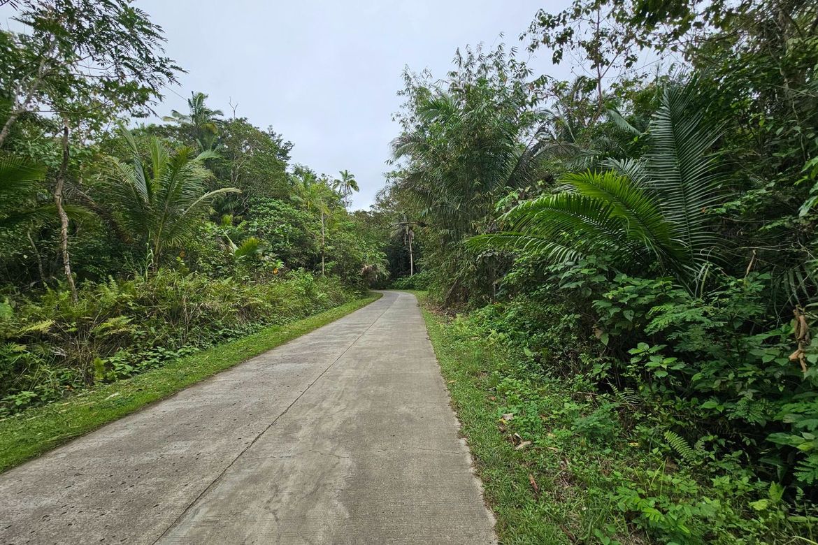 Land for Sale in Poblacion, Sagbayan, Bohol – photo 5