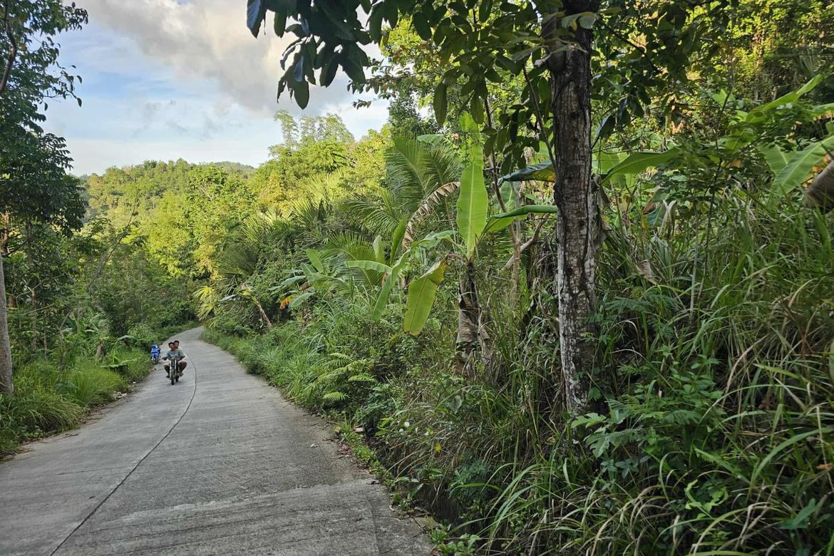 Land for Sale in Poblacion, Sagbayan, Bohol – photo 6