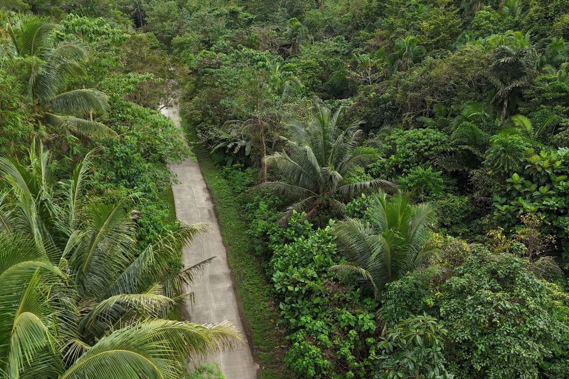 Land for Sale in Poblacion, Sagbayan, Bohol – photo 7