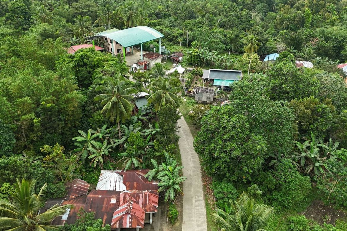 Land for Sale in Poblacion, Sagbayan, Bohol – photo 8