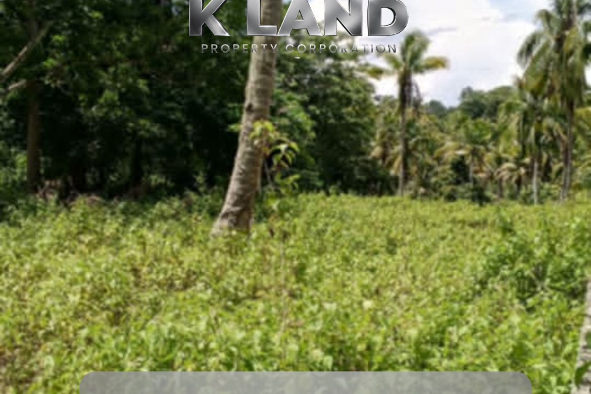Land for Sale in Poblacion, Samal, Davao del Norte