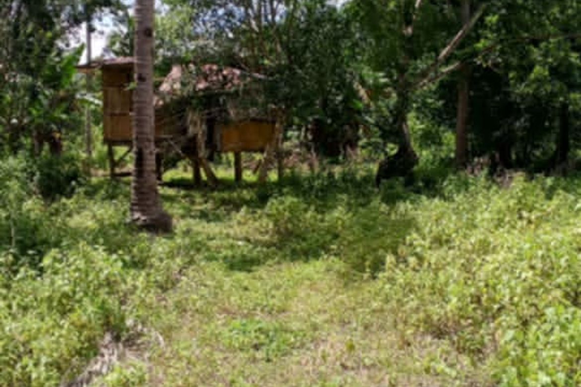 Land for Sale in Poblacion, Samal, Davao del Norte – photo 4