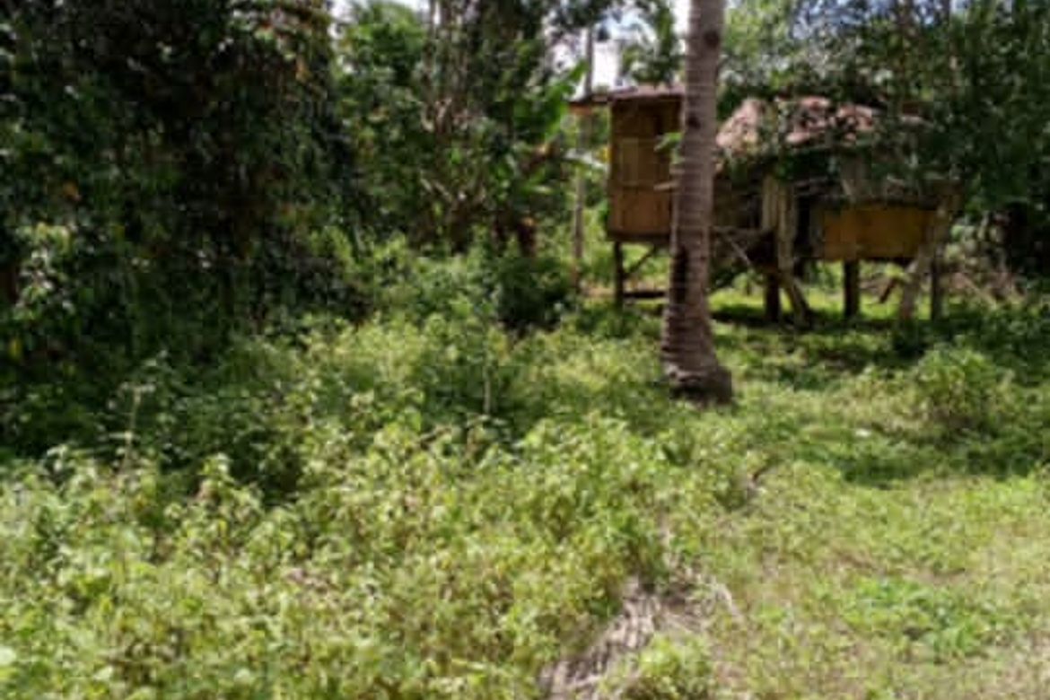 Land for Sale in Poblacion, Samal, Davao del Norte – photo 5