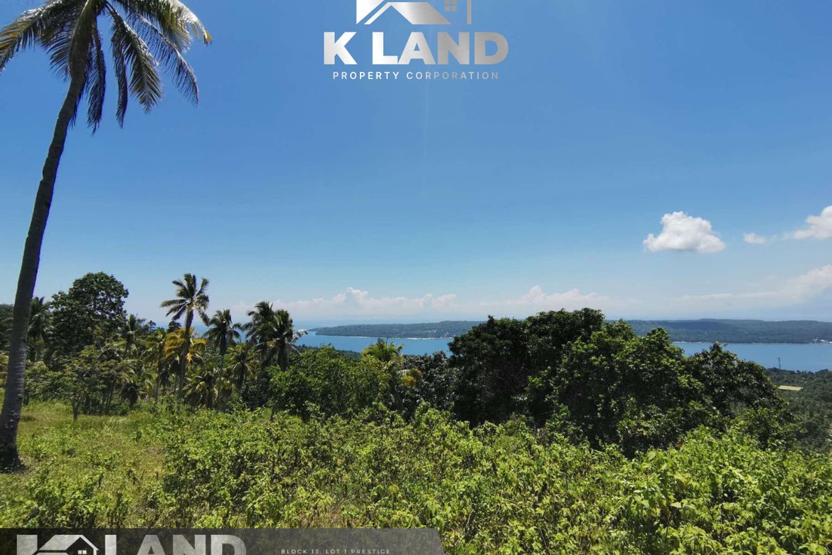 Land for Sale in Poblacion, Samal, Davao del Norte – photo 3