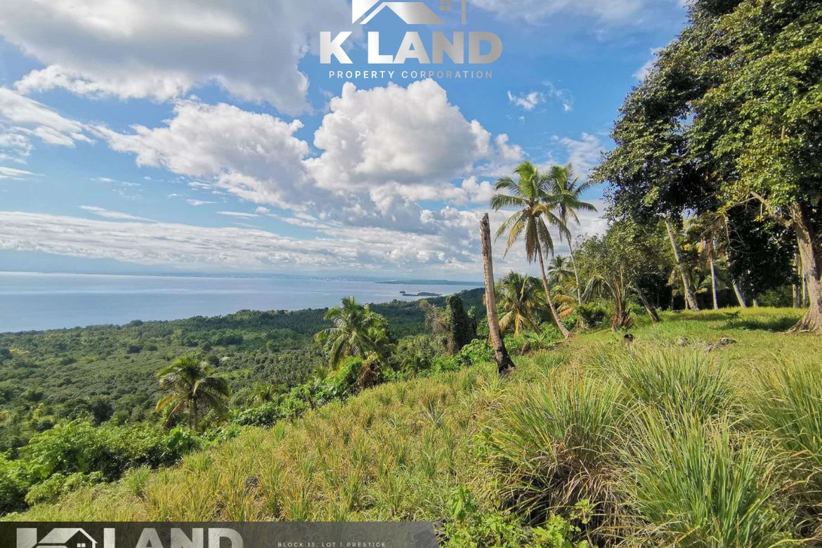 Land for Sale in Poblacion, Samal, Davao del Norte – photo 5