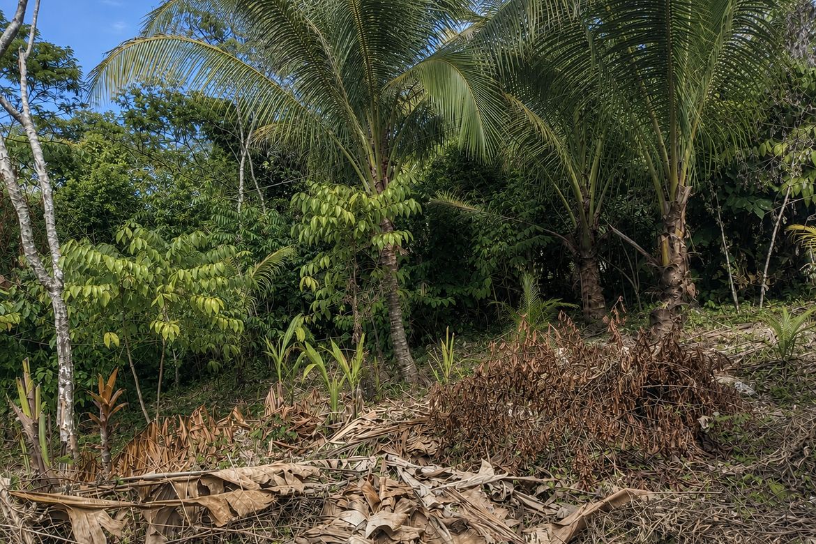 Land for Sale in Poblacion, Samal, Davao del Norte – photo 4
