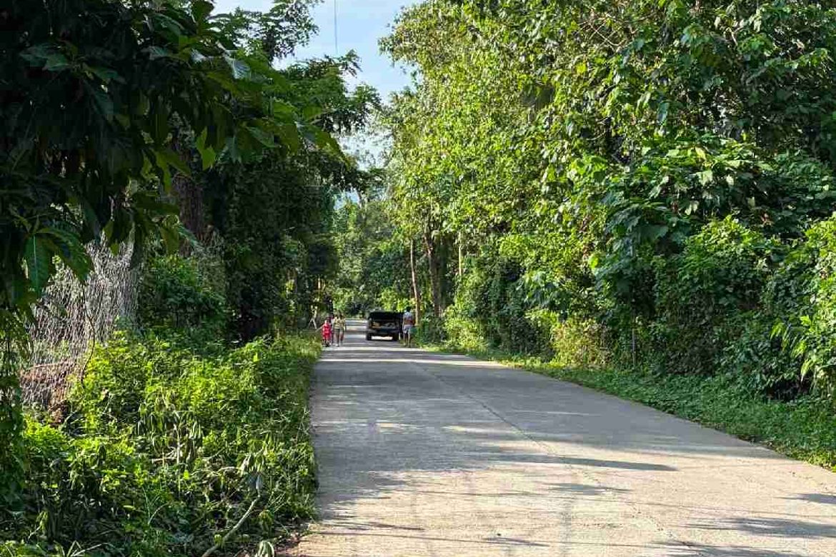 Land for Sale in Poblacion, San Antonio, Quezon – photo 5