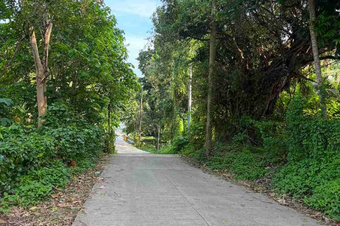 Land for Sale in Poblacion, San Antonio, Quezon – photo 6