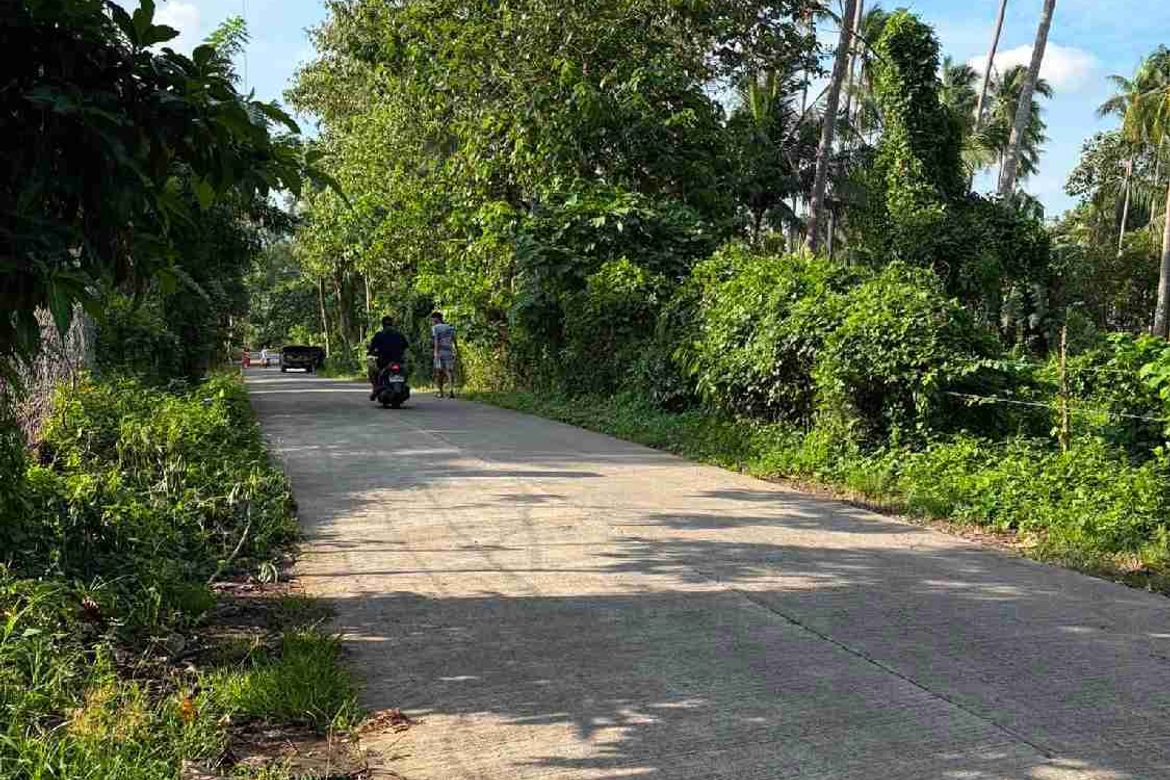 Land for Sale in Poblacion, San Antonio, Quezon – photo 7