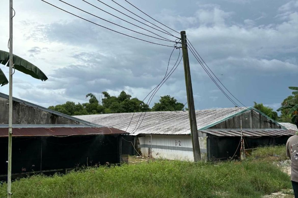 Land for Sale in Poblacion, San Ildefonso, Bulacan