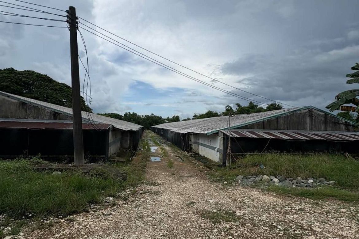 Land for Sale in Poblacion, San Ildefonso, Bulacan – photo 3