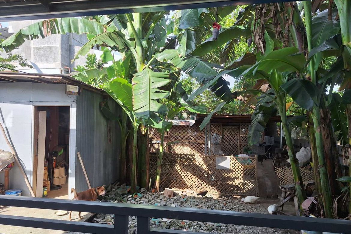 Land for Sale in Poblacion, San Isidro, Nueva Ecija – photo 8