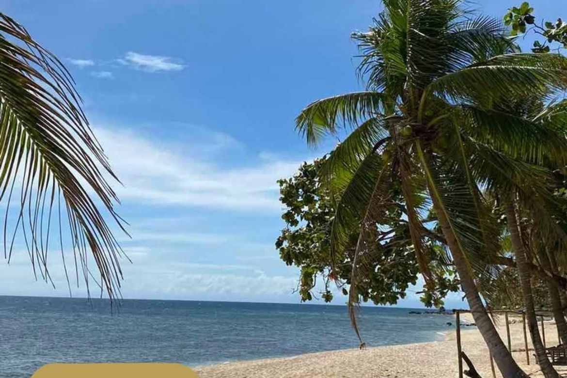 Land for Sale in Poblacion, San Juan, Batangas