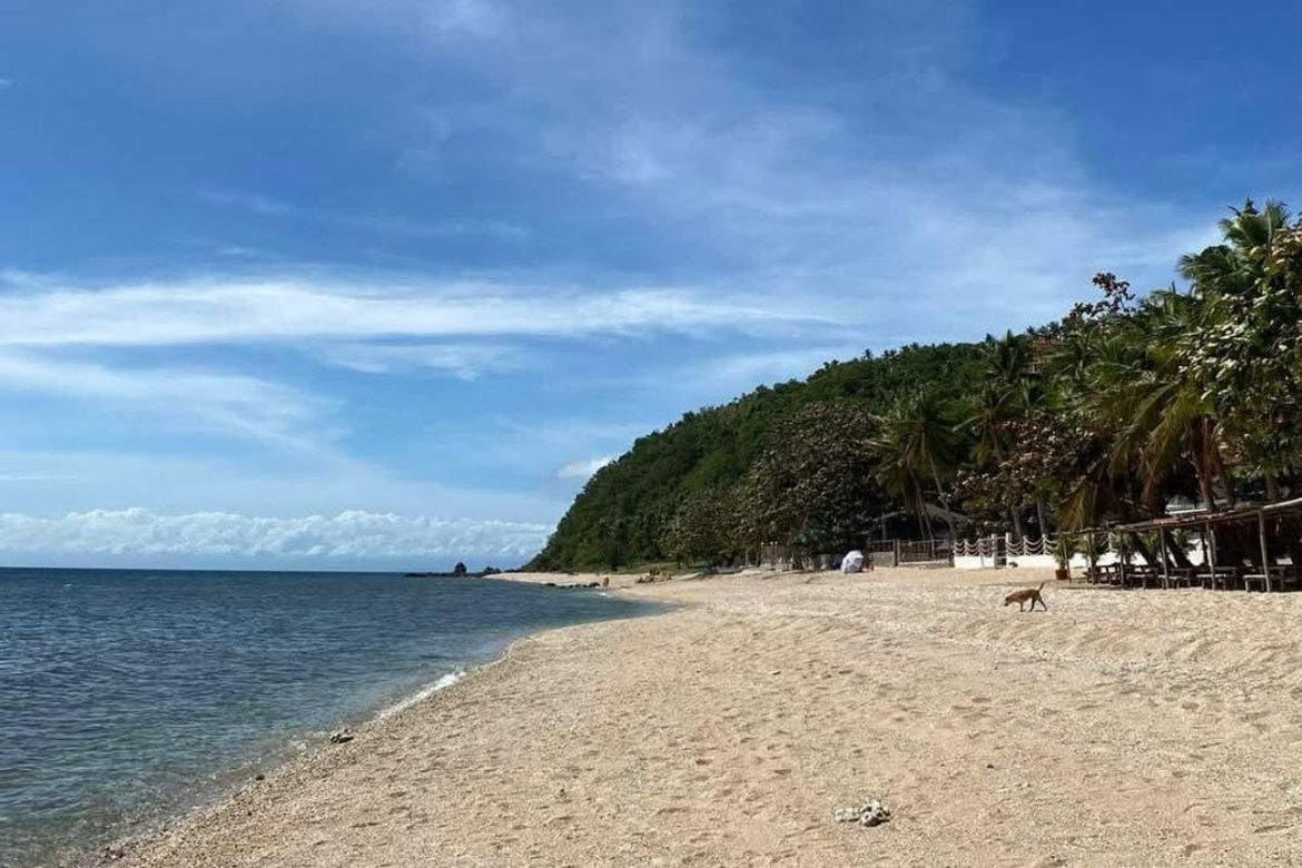 Land for Sale in Poblacion, San Juan, Batangas – photo 2