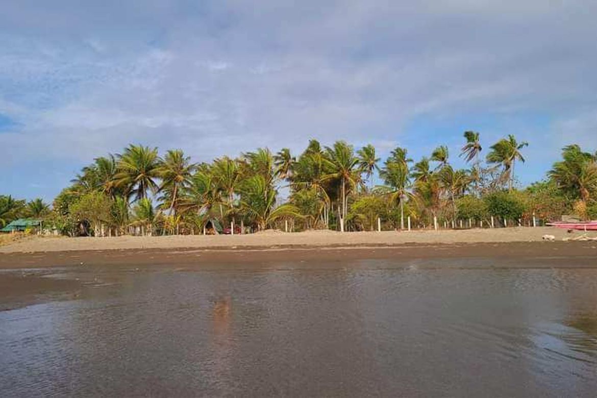 Land for Sale in Poblacion, San Juan, Batangas – photo 2
