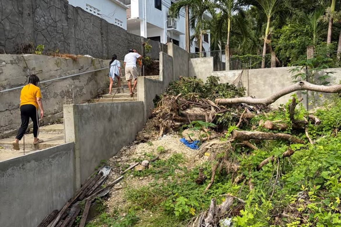 Land for Sale in Poblacion, San Juan, Batangas – photo 3