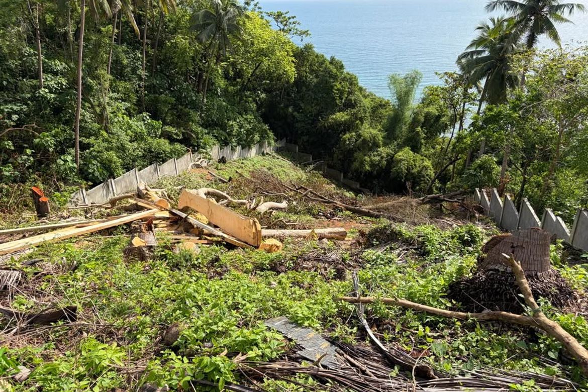 Land for Sale in Poblacion, San Juan, Batangas – photo 4
