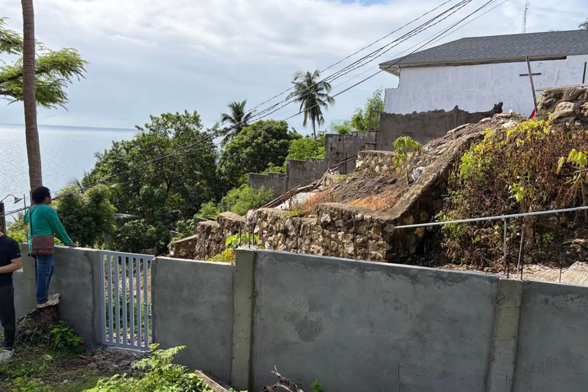Land for Sale in Poblacion, San Juan, Batangas – photo 5