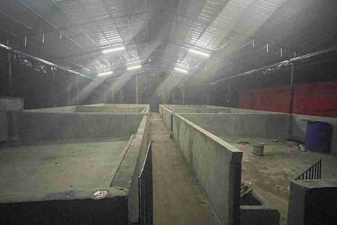 Land for Sale in Poblacion, San Juan, Batangas – photo 2