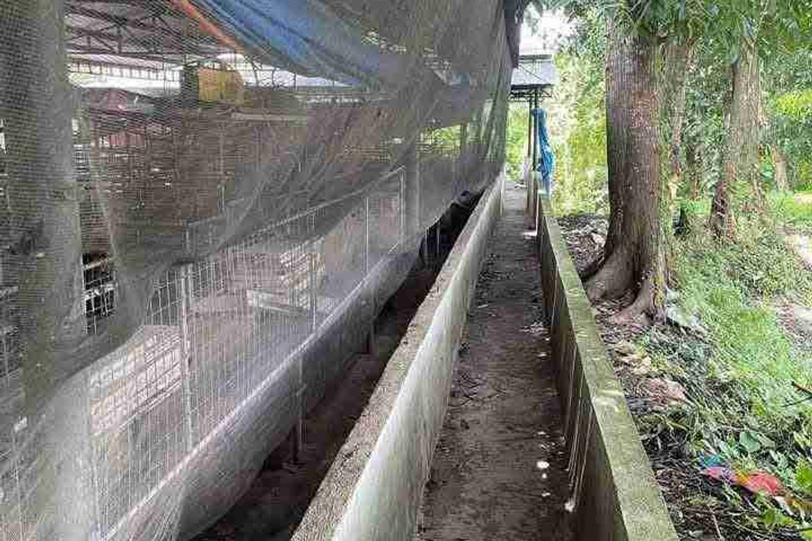 Land for Sale in Poblacion, San Juan, Batangas – photo 3