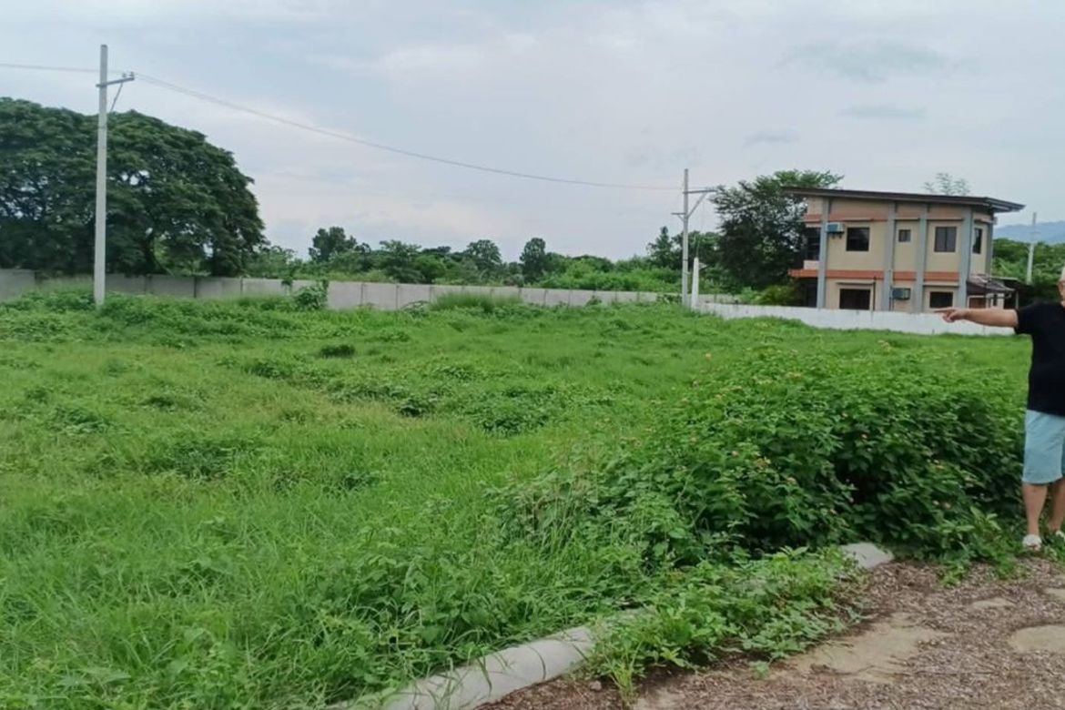 Land for Sale in Poblacion, San Juan, Batangas – photo 2