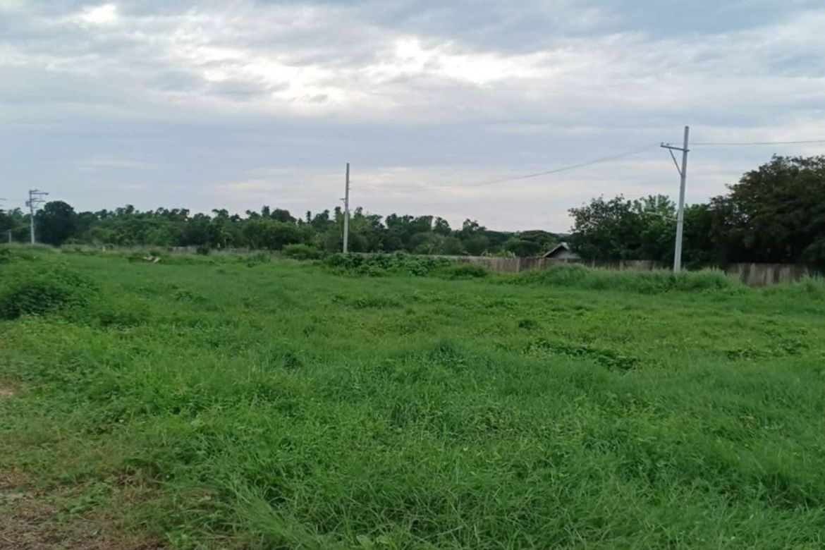 Land for Sale in Poblacion, San Juan, Batangas – photo 4