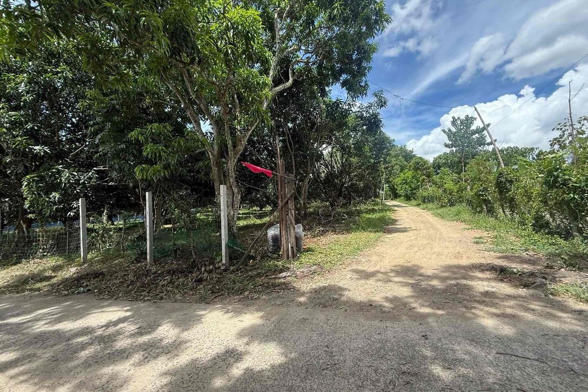 Land for Sale in Poblacion, San Juan, Batangas