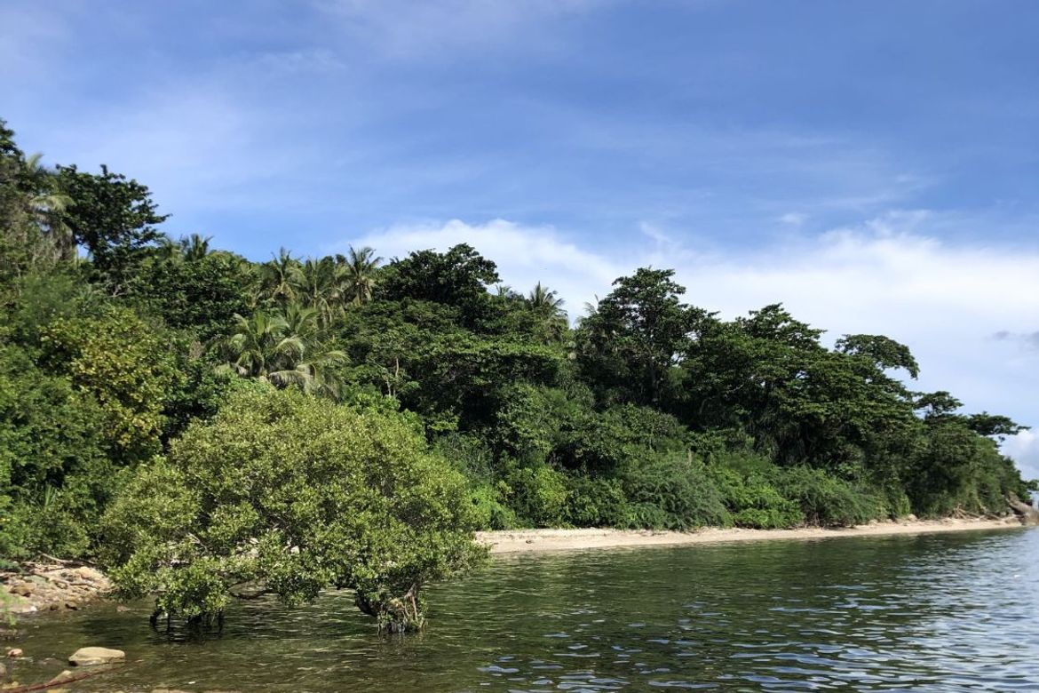 Land for Sale in Poblacion, San Juan, Batangas – photo 5