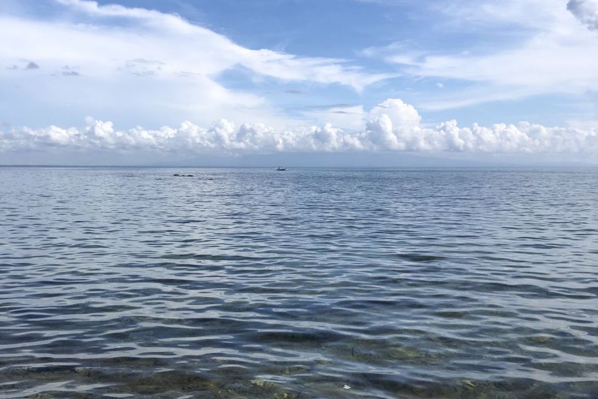 Land for Sale in Poblacion, San Juan, Batangas – photo 6