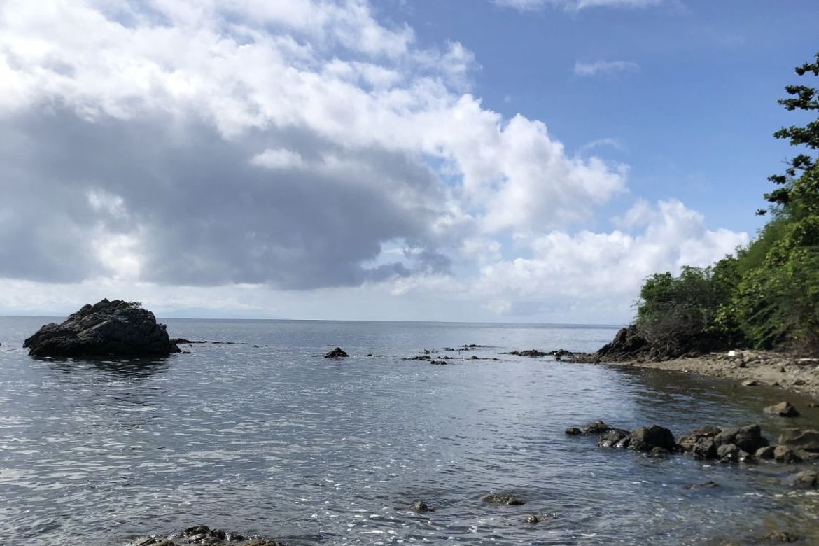Land for Sale in Poblacion, San Juan, Batangas – photo 7