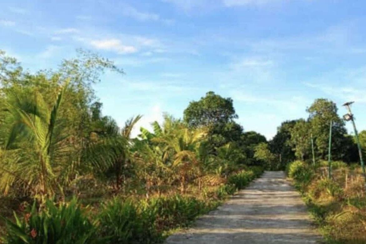 Land for Sale in Poblacion, San Miguel, Bulacan – photo 5