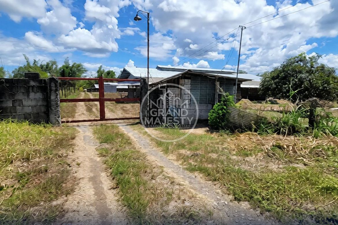 Land for Sale in Poblacion, San Miguel, Bulacan – photo 7
