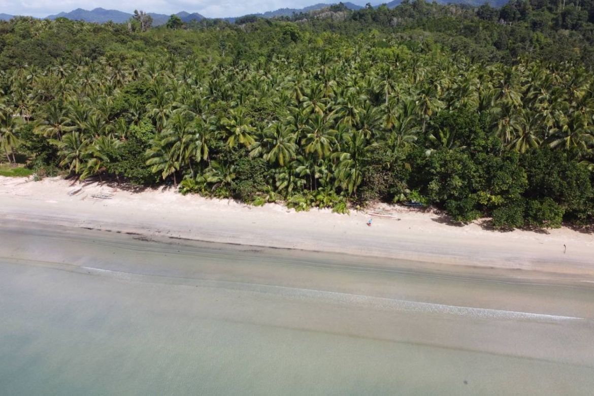 Land for Sale in Poblacion, San Vicente, Palawan – photo 4